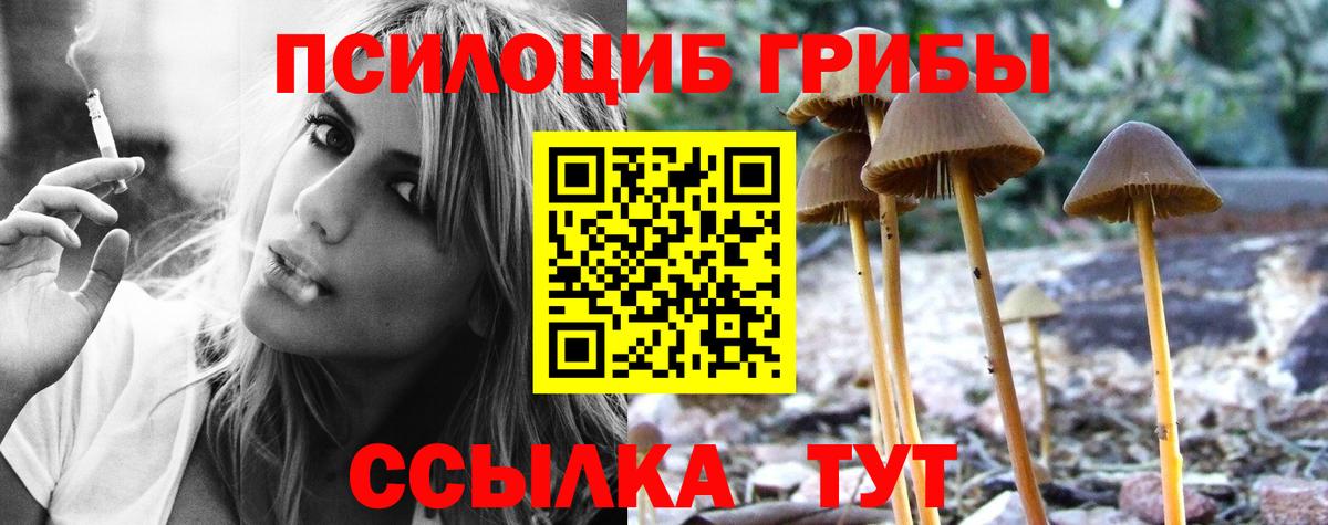 Псилоцибиновые грибы ЛСД Добрянка