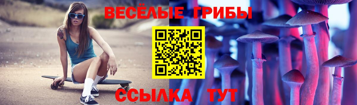 Добрянка  Псилоцибиновые грибы ЛСД  Вход с VPN 